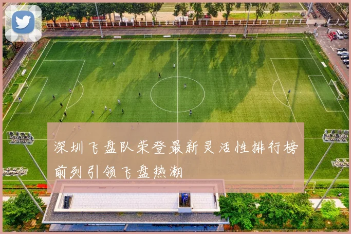 深圳飞盘队荣登最新灵活性排行榜前列引领飞盘热潮