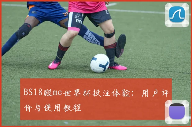 BS18殿me世界杯投注体验：用户评价与使用教程